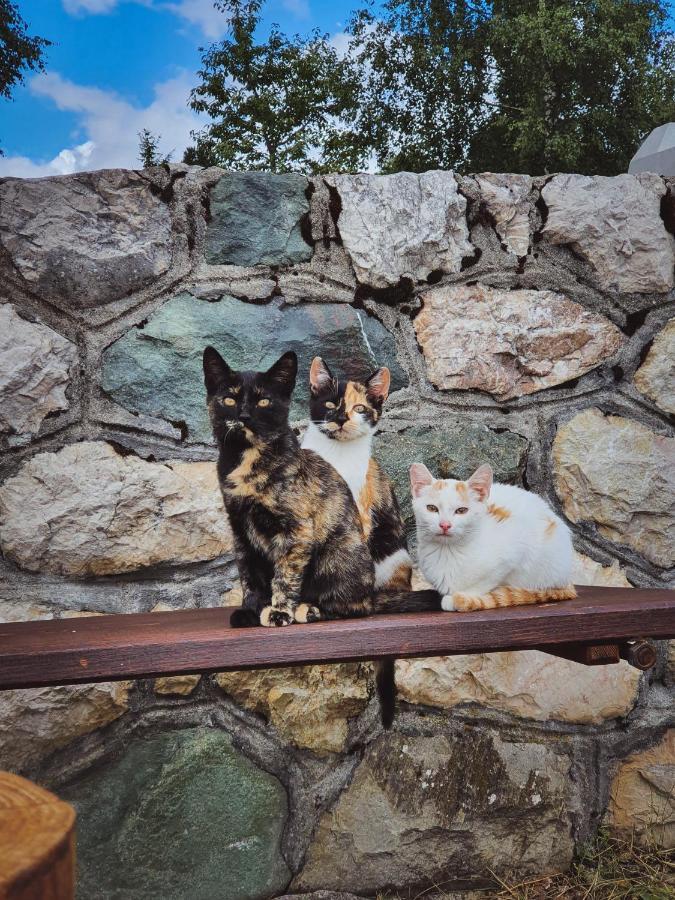 Apartmani Stari Gaj ชาเบลียค ภายนอก รูปภาพ
